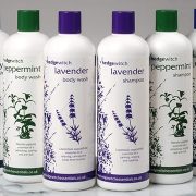 Spectra give Hedgewitch a biopolymer packaging solution