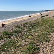 Spectra staff organise beach clean