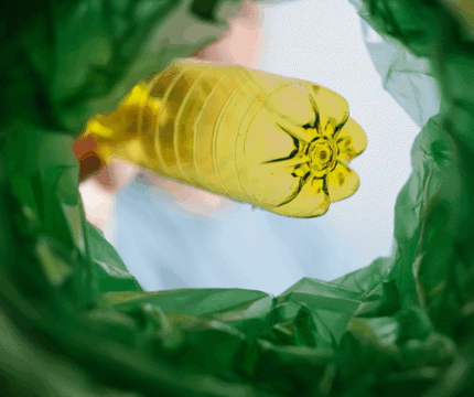 Our positive response to International Plastic Free Day