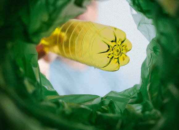 Our positive response to International Plastic Free Day